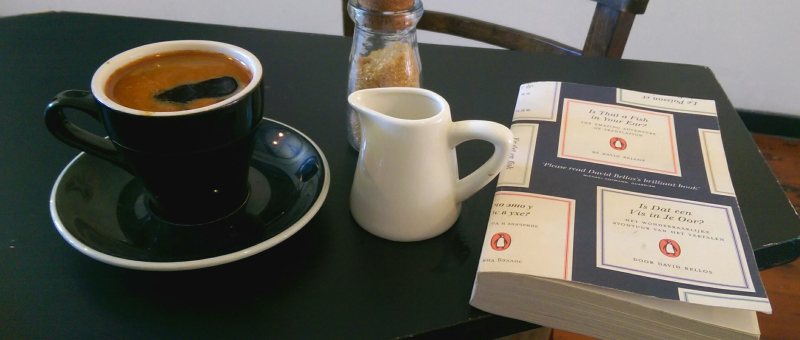 Is That a Fish in Your Ear? by David Bellos