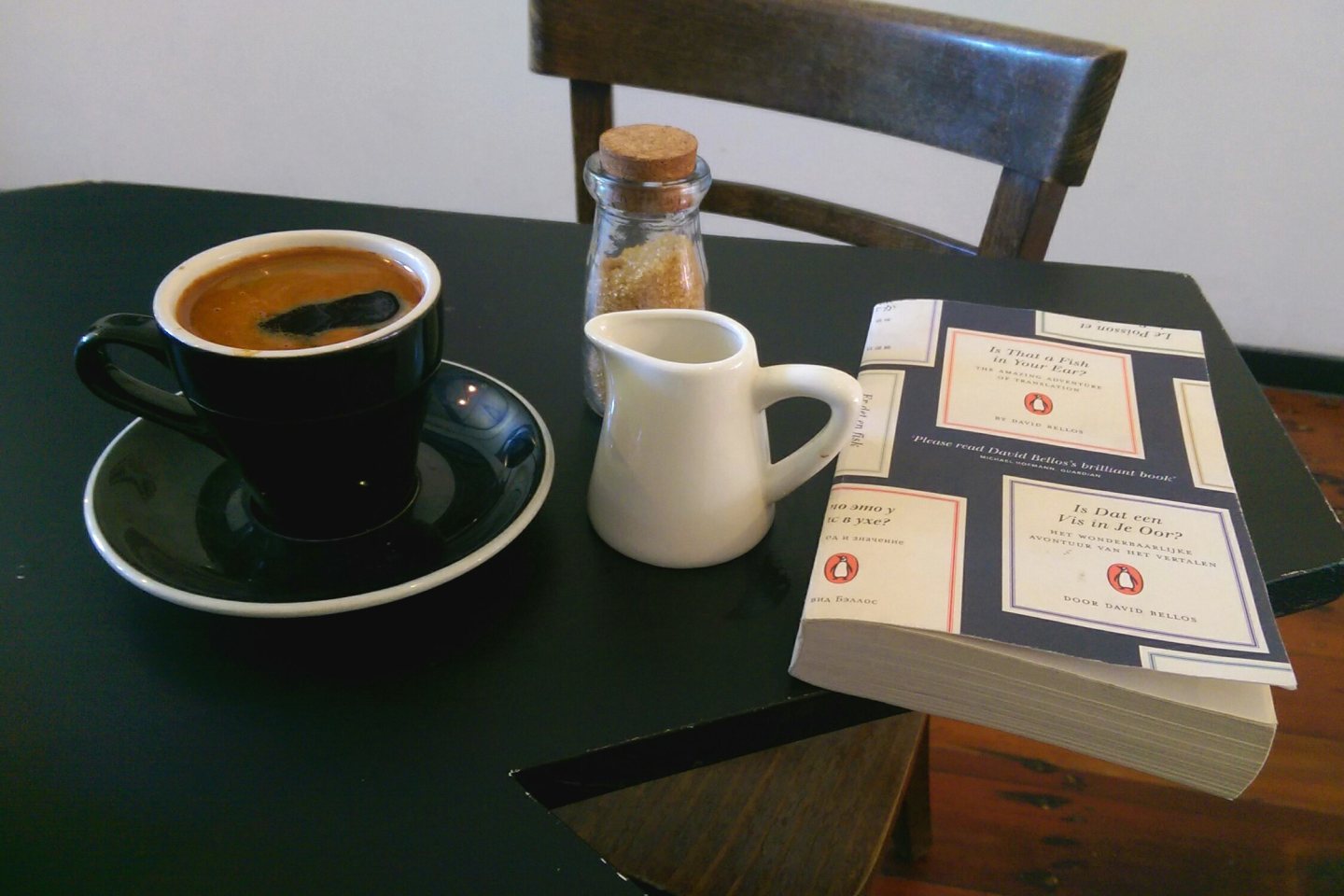 Is That a Fish in Your Ear? by David Bellos